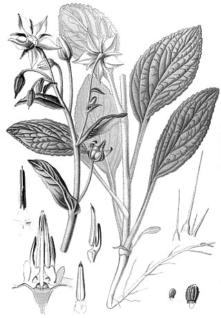 Иллюстрация к книге — Человек-невидимка. Как читать людей на расстоянии [_66.jpg]