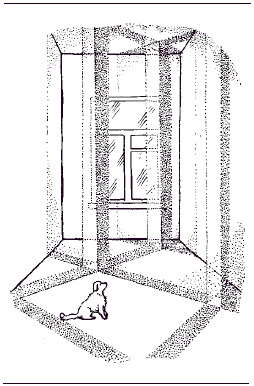 Иллюстрация к книге — Дом, который нас выбирает. Гармонизация энергетики дома и человека [Autogen_eBook_id8.jpg]