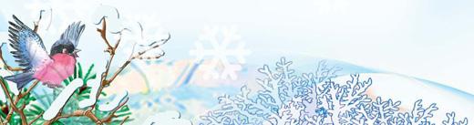 Иллюстрация к книге — В ожидании Рождественского чуда [i_051.jpg]