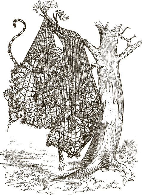 Иллюстрация к книге — Приключения Мурзилки и маленьких человечков [i_372.jpg]