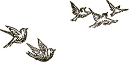 Иллюстрация к книге — Приключения Мурзилки и маленьких человечков [i_546.jpg]