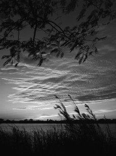 Иллюстрация к книге — Пока не сказано «прощай». Год жизни с радостью [i_003.jpg]