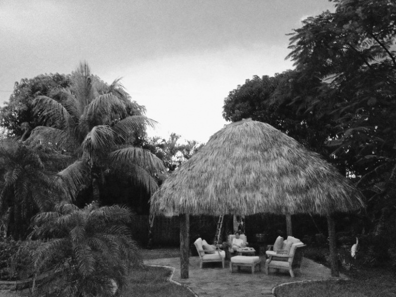 Иллюстрация к книге — Пока не сказано «прощай». Год жизни с радостью [i_025.jpg]