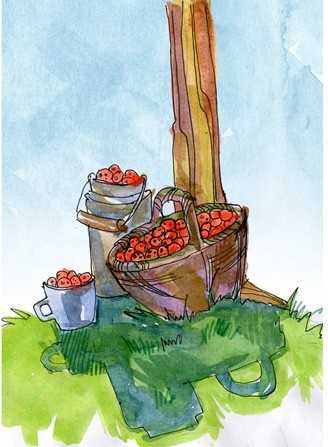 Иллюстрация к книге — Сказки про детей [i_014.jpg]