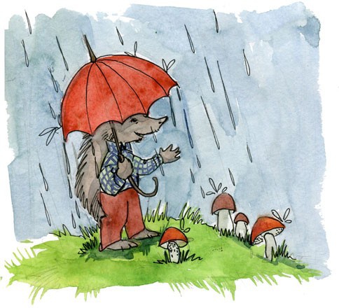 Иллюстрация к книге — Сказки Дружного леса. Новые приключения маленького Ёжика [i_052.jpg]