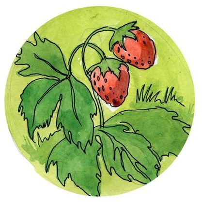 Иллюстрация к книге — Сказки Дружного леса. Новые приключения маленького Ёжика [i_055.jpg]