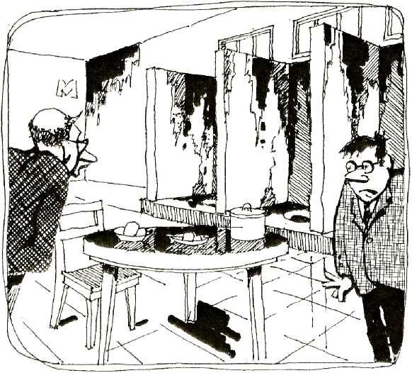 Иллюстрация к книге — Беспаспортных бродяг просят на казнь [i_003.jpg]