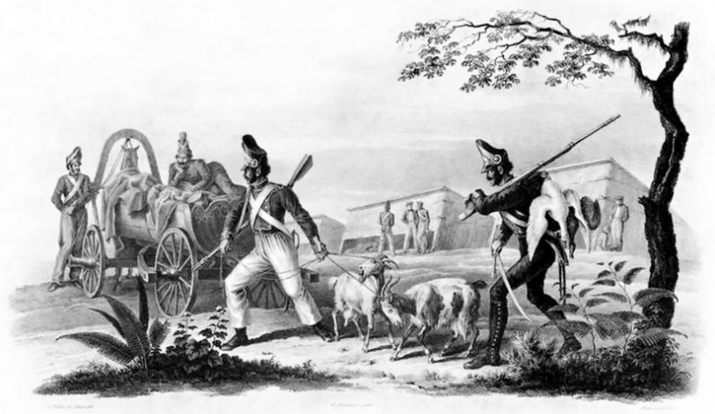 Иллюстрация к книге — 1812. Все было не так! [i_056.jpg]