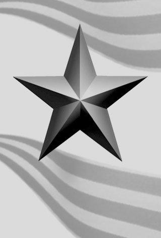 Иллюстрация к книге — Я взял Берлин и освободил Европу [zvezda.jpg_1.jpg]