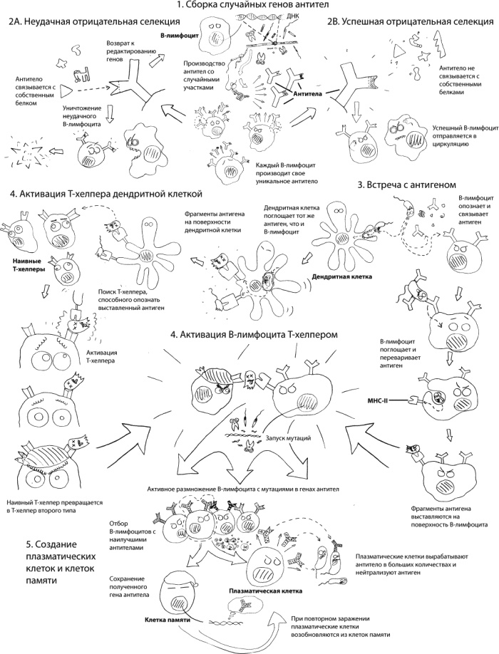 Иллюстрация к книге — В интернете кто-то неправ! Научные исследования спорных вопросов [_064.jpg]