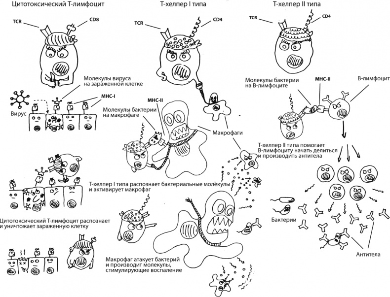 Иллюстрация к книге — В интернете кто-то неправ! Научные исследования спорных вопросов [_092.jpg]