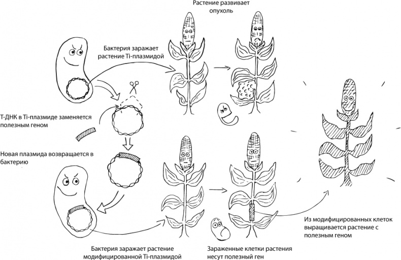 Иллюстрация к книге — В интернете кто-то неправ! Научные исследования спорных вопросов [_141.jpg]