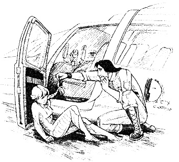 Иллюстрация к книге — Космотехнолухи. Том 1 [i_017.jpg]