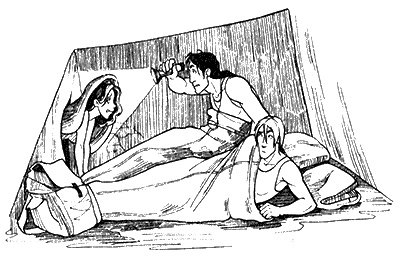 Иллюстрация к книге — Космотехнолухи. Том 1 [i_025.jpg]