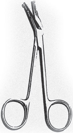 Иллюстрация к книге — Монстролог. Ступени, ведущие в бездну [_2.jpg]