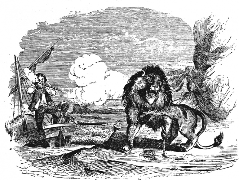 Иллюстрация к книге — Робинзон Крузо. Дальнейшие приключения Робинзона Крузо [i_005.jpg]