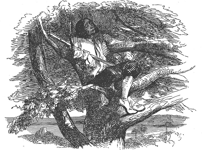 Иллюстрация к книге — Робинзон Крузо. Дальнейшие приключения Робинзона Крузо [i_008.jpg]