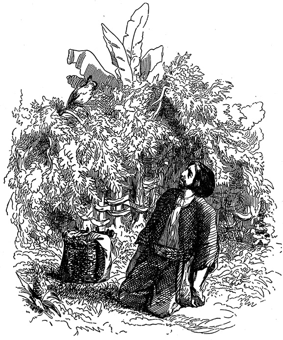 Иллюстрация к книге — Робинзон Крузо. Дальнейшие приключения Робинзона Крузо [i_023.jpg]