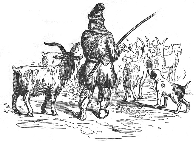 Иллюстрация к книге — Робинзон Крузо. Дальнейшие приключения Робинзона Крузо [i_029.jpg]