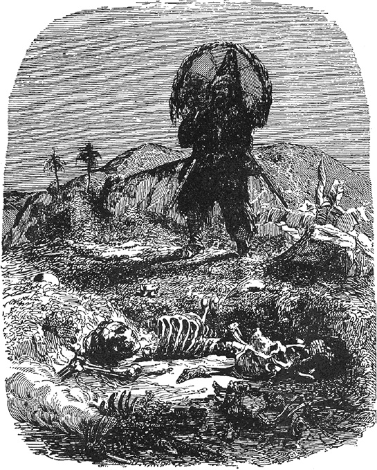 Иллюстрация к книге — Робинзон Крузо. Дальнейшие приключения Робинзона Крузо [i_030.jpg]