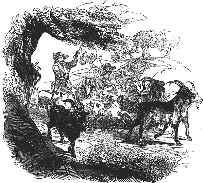 Иллюстрация к книге — Робинзон Крузо. Дальнейшие приключения Робинзона Крузо [i_073.jpg]