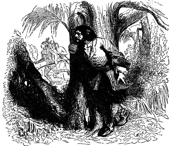 Иллюстрация к книге — Робинзон Крузо. Дальнейшие приключения Робинзона Крузо [i_074.jpg]