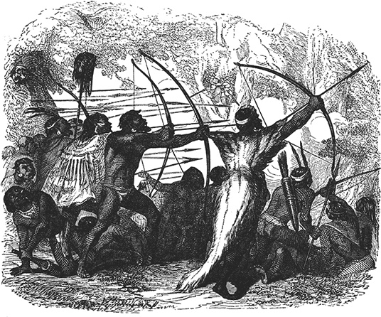 Иллюстрация к книге — Робинзон Крузо. Дальнейшие приключения Робинзона Крузо [i_085.jpg]