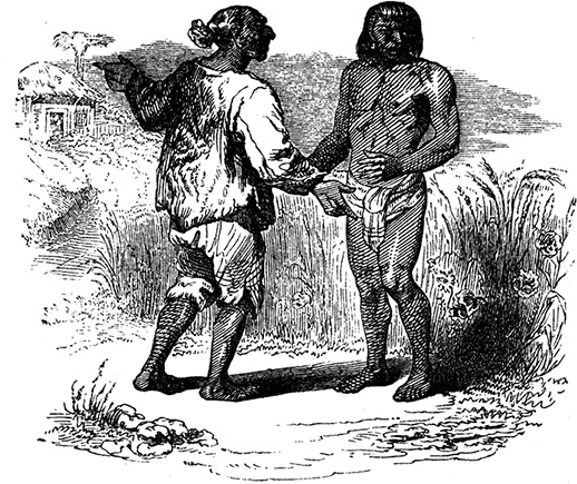 Иллюстрация к книге — Робинзон Крузо. Дальнейшие приключения Робинзона Крузо [i_088.jpg]