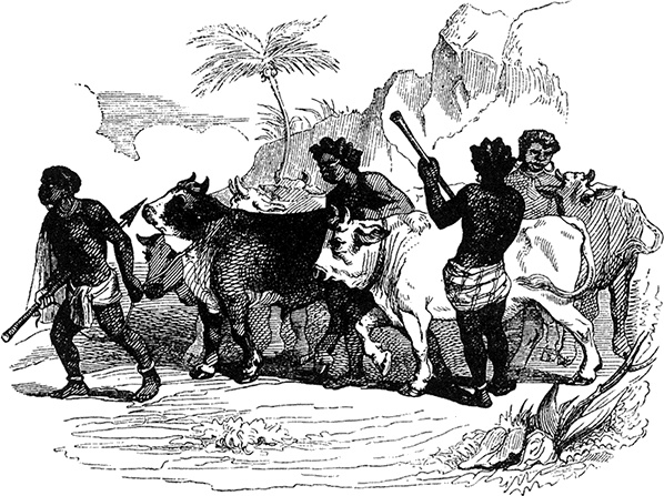 Иллюстрация к книге — Робинзон Крузо. Дальнейшие приключения Робинзона Крузо [i_106.jpg]