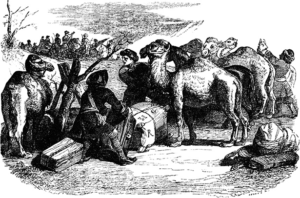 Иллюстрация к книге — Робинзон Крузо. Дальнейшие приключения Робинзона Крузо [i_134.jpg]