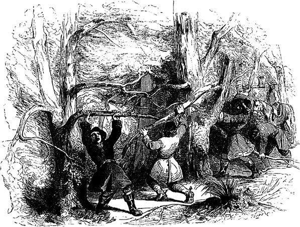 Иллюстрация к книге — Робинзон Крузо. Дальнейшие приключения Робинзона Крузо [i_140.jpg]