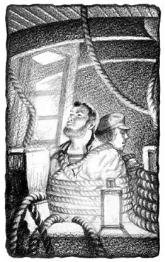 Иллюстрация к книге — Под Южным Крестом [pic_3.jpg]