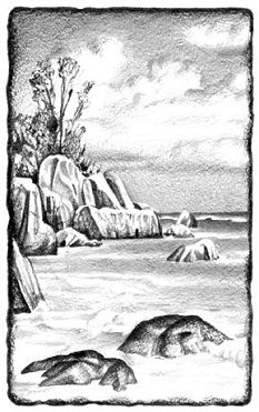 Иллюстрация к книге — Под Южным Крестом [pic_6.jpg]