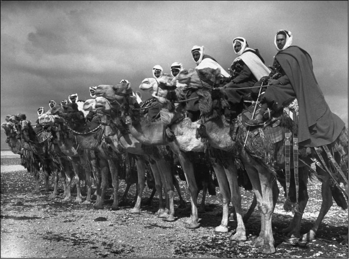 Иллюстрация к книге — Битва за Сирию. От Вавилона до ИГИЛ [i_008.jpg]