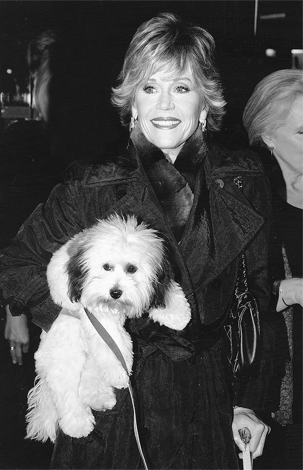 Иллюстрация к книге — Прайм-тайм. После 50 жизнь только начинается [i_004.jpg]