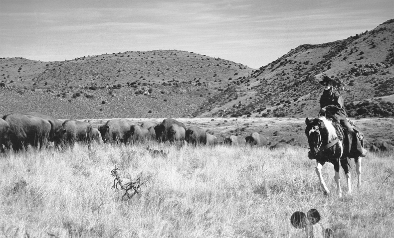 Иллюстрация к книге — Прайм-тайм. После 50 жизнь только начинается [i_013.jpg]