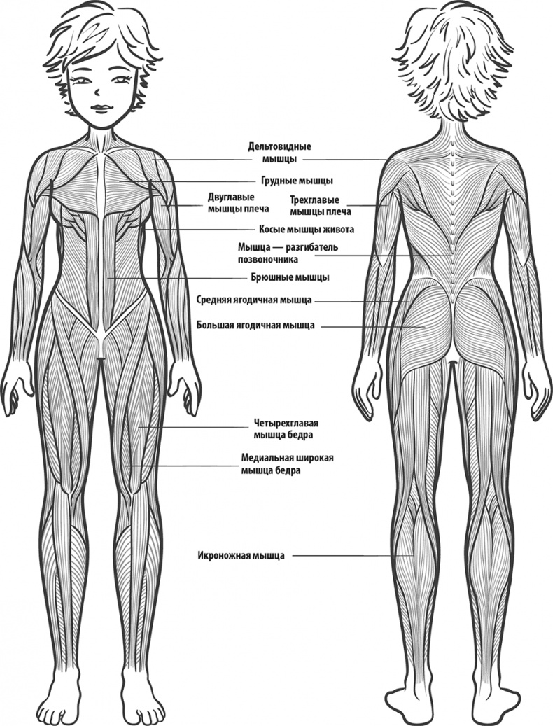 Иллюстрация к книге — Прайм-тайм. После 50 жизнь только начинается [i_089.jpg]