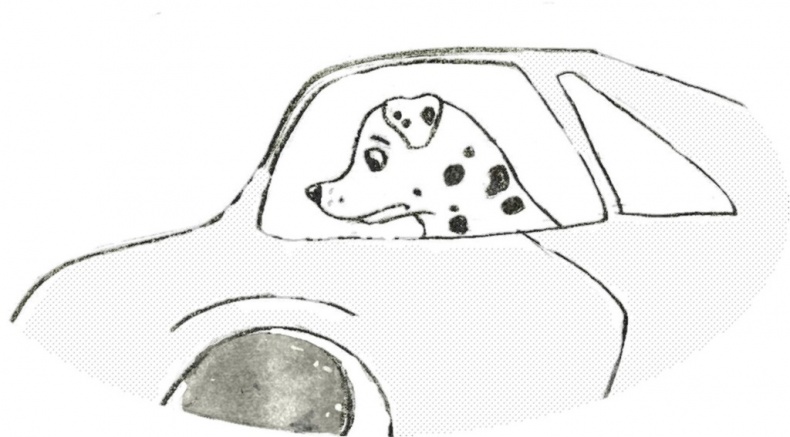 Иллюстрация к книге — Джули. Её мечты и приключения [images_5386f4e837eca2df228b45cc_jpg.jpg]