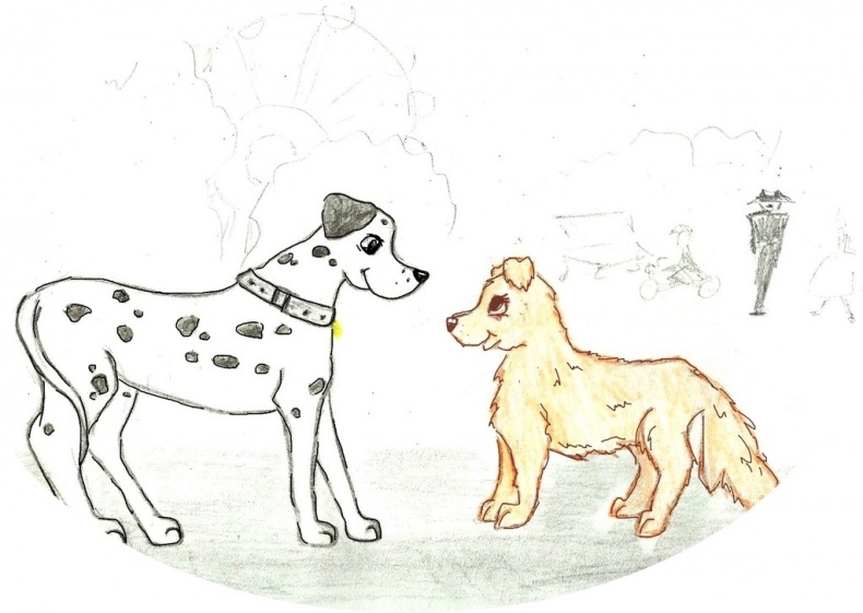 Иллюстрация к книге — Джули. Её мечты и приключения [images_5386f69237eca2b43c8b459e_jpg.jpg]