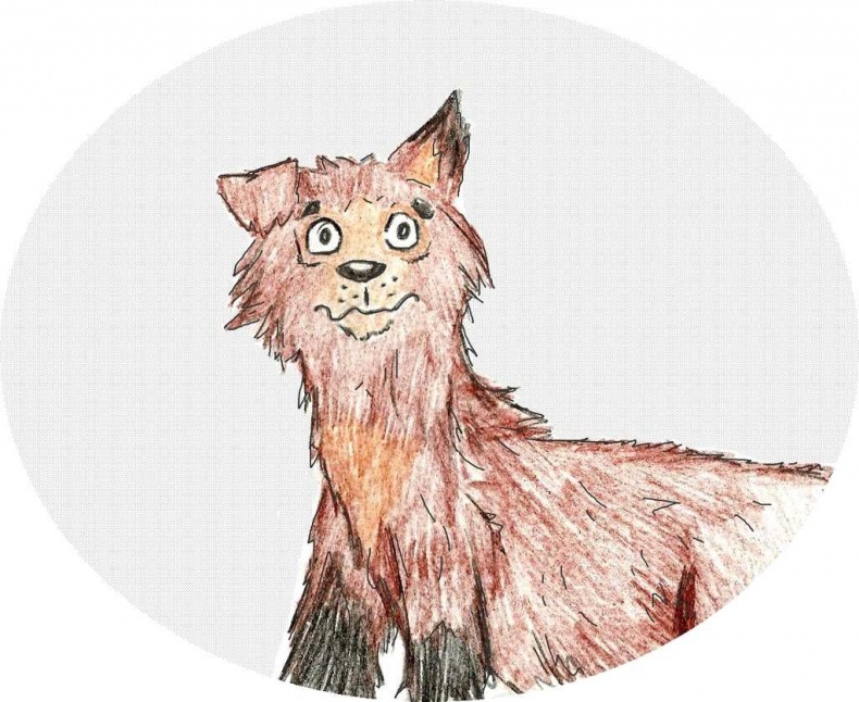 Иллюстрация к книге — Джули. Её мечты и приключения [images_5386f6d837eca27e268b4596_jpg.jpg]