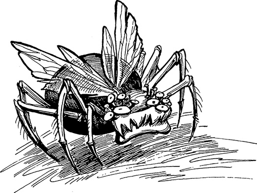 Иллюстрация к книге — Космотехнолухи. Том 2 [i_001.jpg]