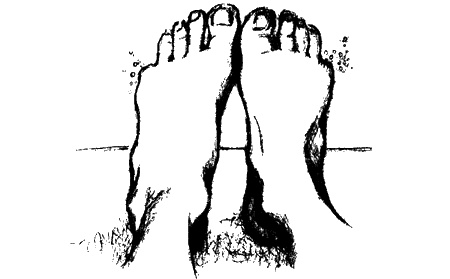 Иллюстрация к книге — Цветник бабушки Корицы [img11.jpg]