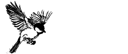 Иллюстрация к книге — Цветник бабушки Корицы [img28.jpg]