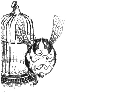 Иллюстрация к книге — Цветник бабушки Корицы [img32.jpg]