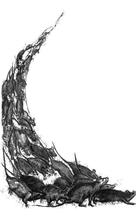 Иллюстрация к книге — Цветник бабушки Корицы [img33.jpg]