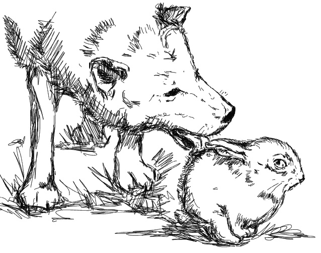 Иллюстрация к книге — Лесная фея, или новые приключения кикиморы Светки Пипеткиной [_046_01.jpg]