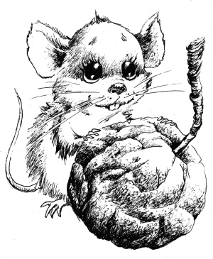 Иллюстрация к книге — Кукольный домик [i_008.jpg]