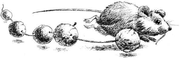 Иллюстрация к книге — Кукольный домик [i_022.jpg]