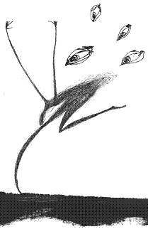 Иллюстрация к книге — Рыцарь, кот и балерина. Приключения эрмитажных котов [pic_29.jpg]