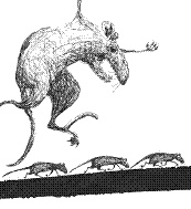 Иллюстрация к книге — Рыцарь, кот и балерина. Приключения эрмитажных котов [pic_32.jpg]